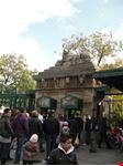 Berlino, lo Zoo